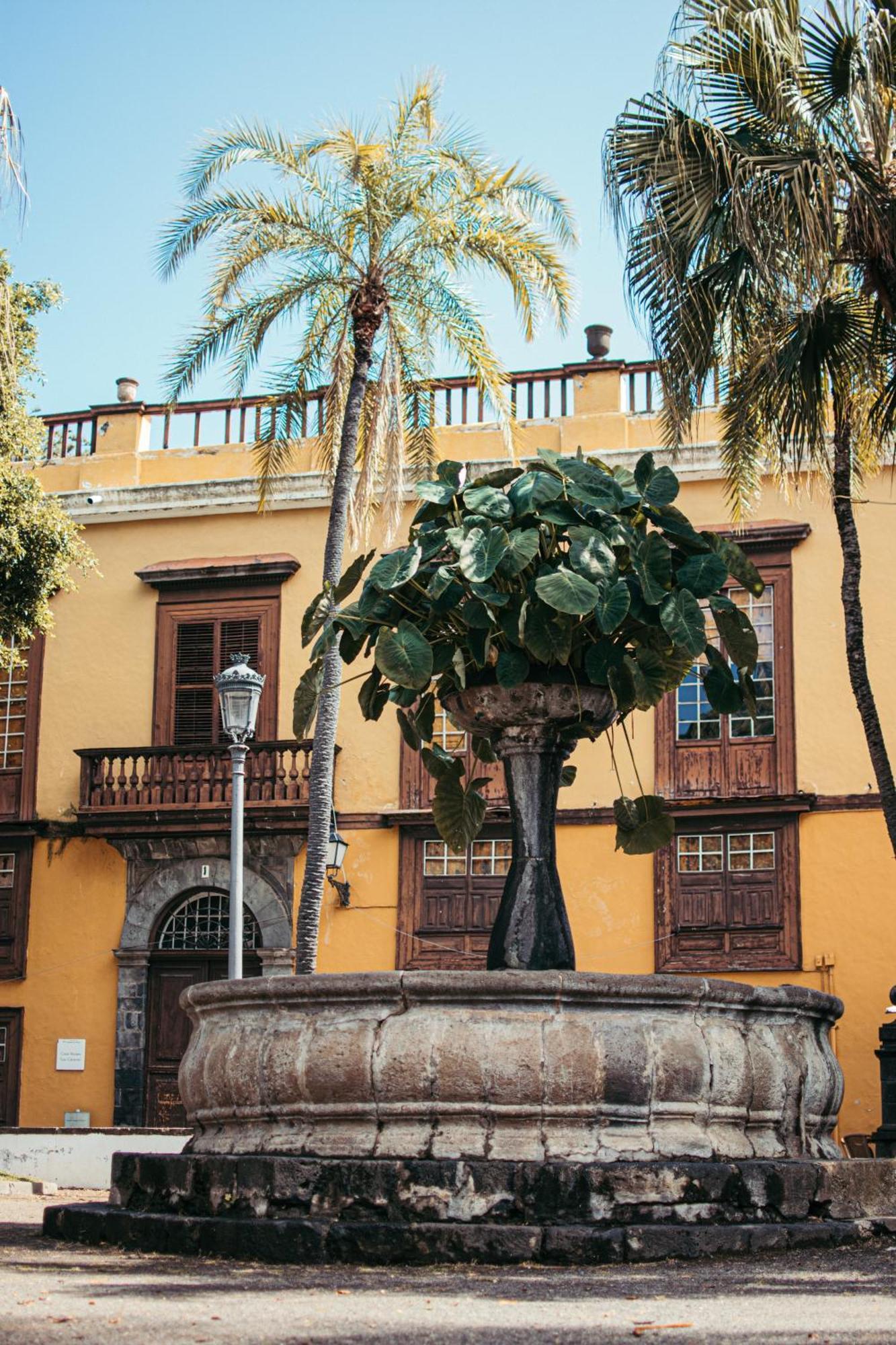 Las Casitas Del Bebedero - Yoga & Ecoturismo Icod De Los Vinos Exterior foto